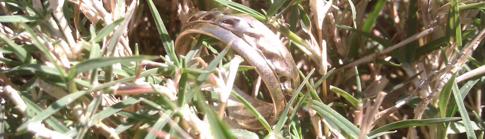 cropped-IMAG0105.jpg